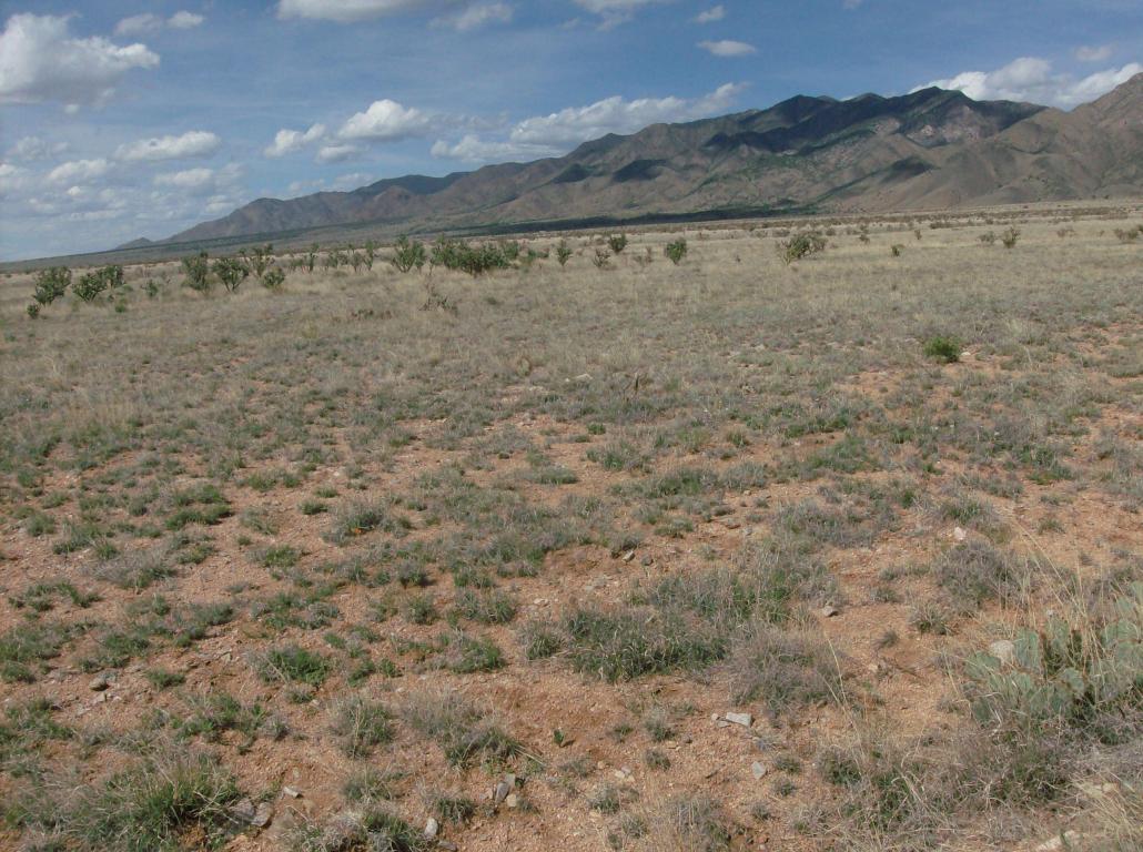Diablo &amp; Tonada Drive, Belen, NM 87002