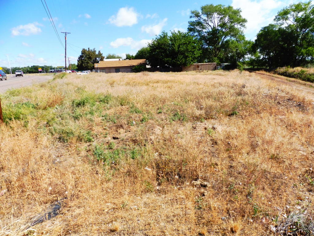 Off HWY 116 Highway, Belen, NM 87002