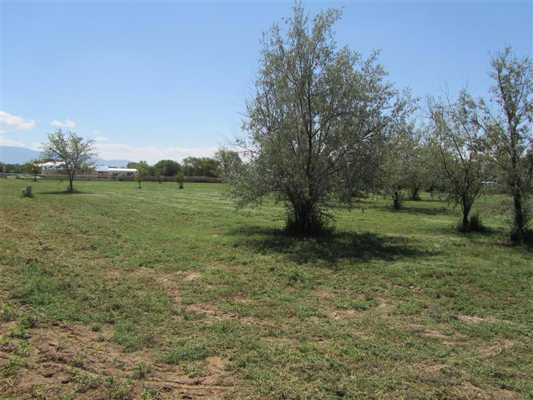 23 La Mirada, Belen, NM 87002