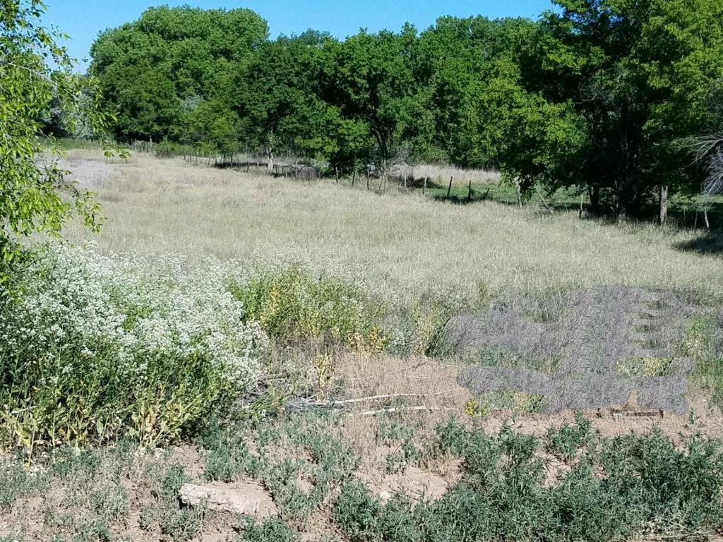 Ciriaco Lane, Belen, NM 87002