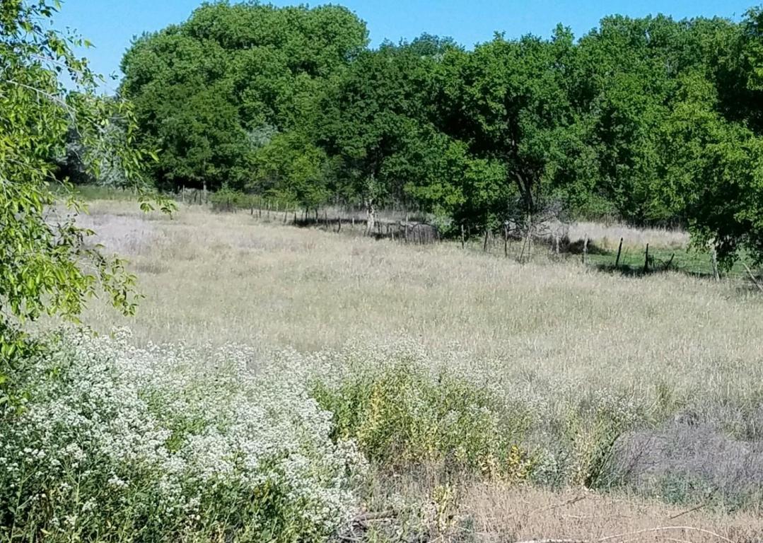 Ciriaco Lane, Belen, NM 87002