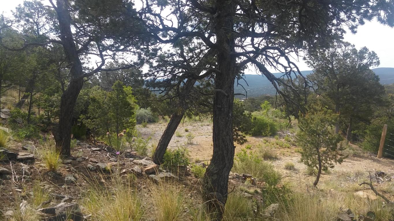 Sangre De Cristo Circle, Cedar Crest, NM 87008