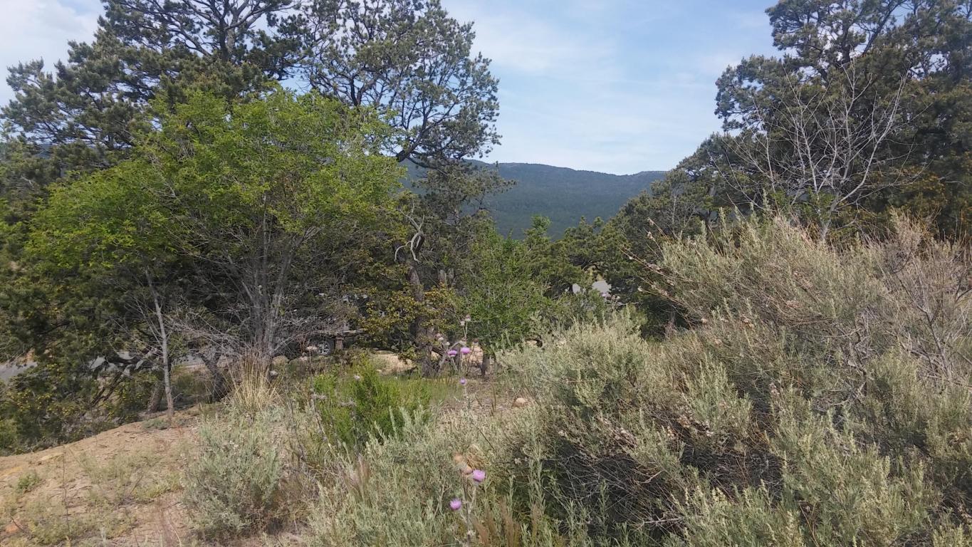 Sangre De Cristo Circle, Cedar Crest, NM 87008