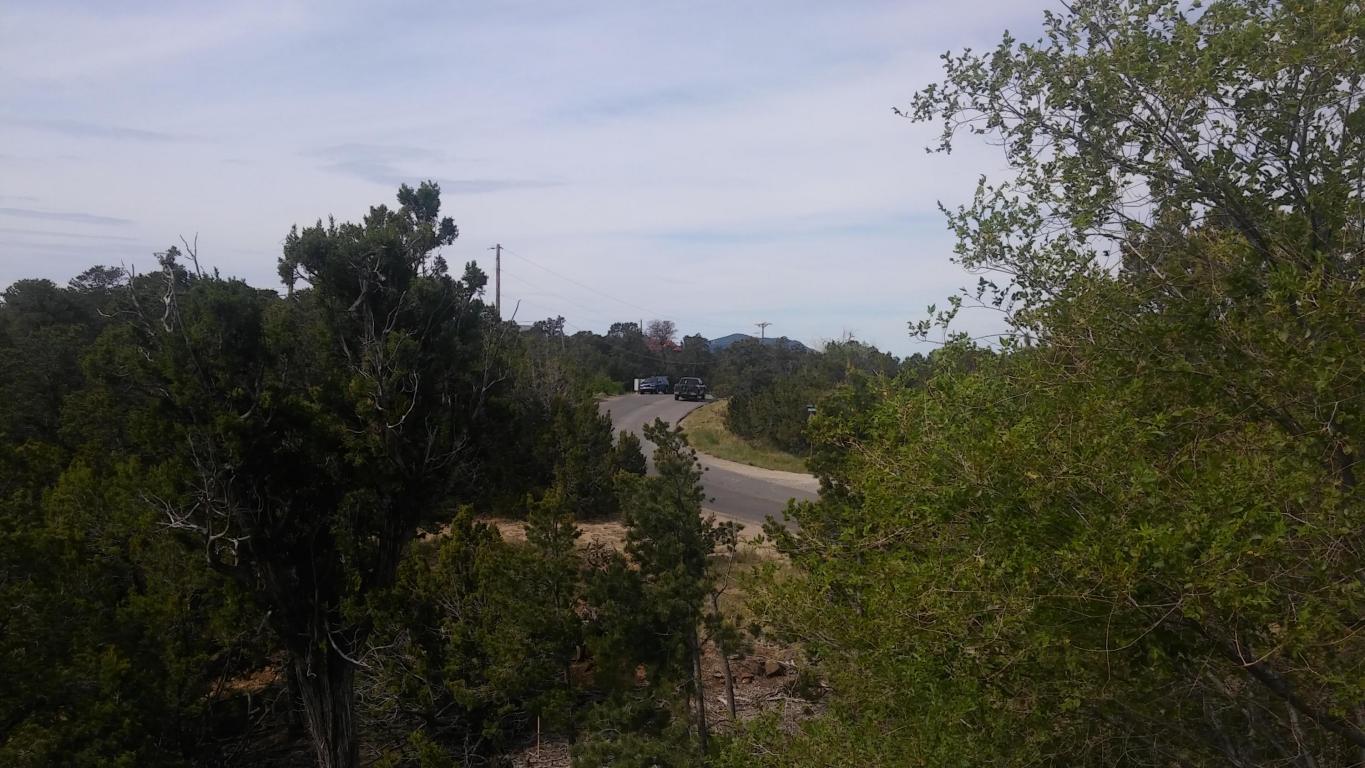 Sangre De Cristo Circle, Cedar Crest, NM 87008