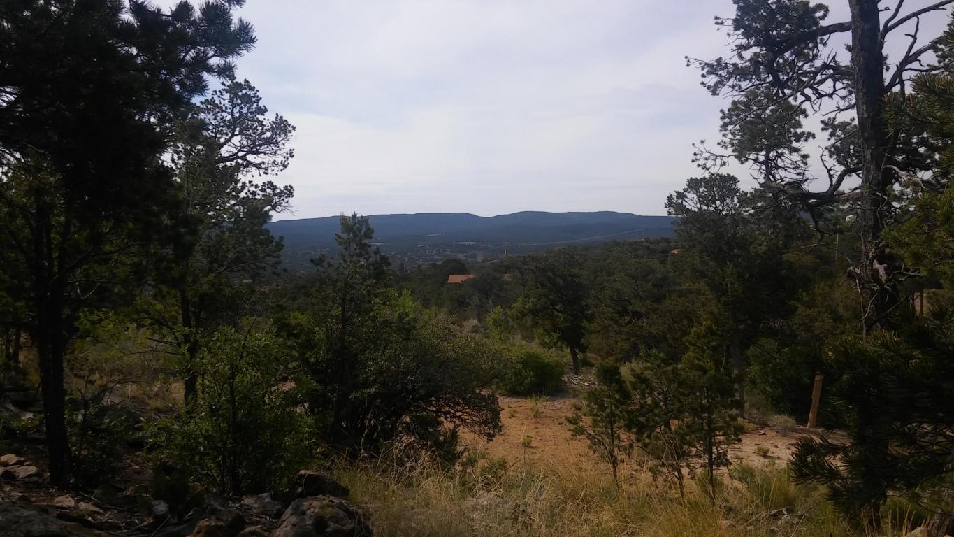 Sangre De Cristo Circle, Cedar Crest, NM 87008
