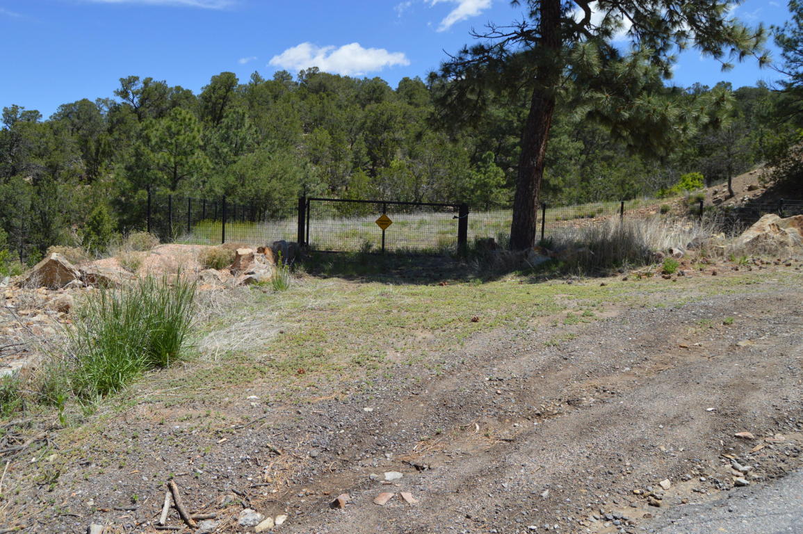 19 Sangre De Cristo, Cedar Crest, NM 87008