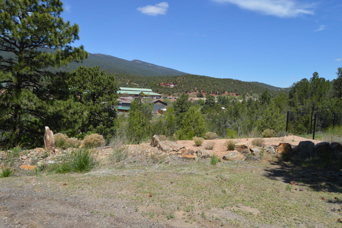 19 Sangre De Cristo, Cedar Crest, NM 87008