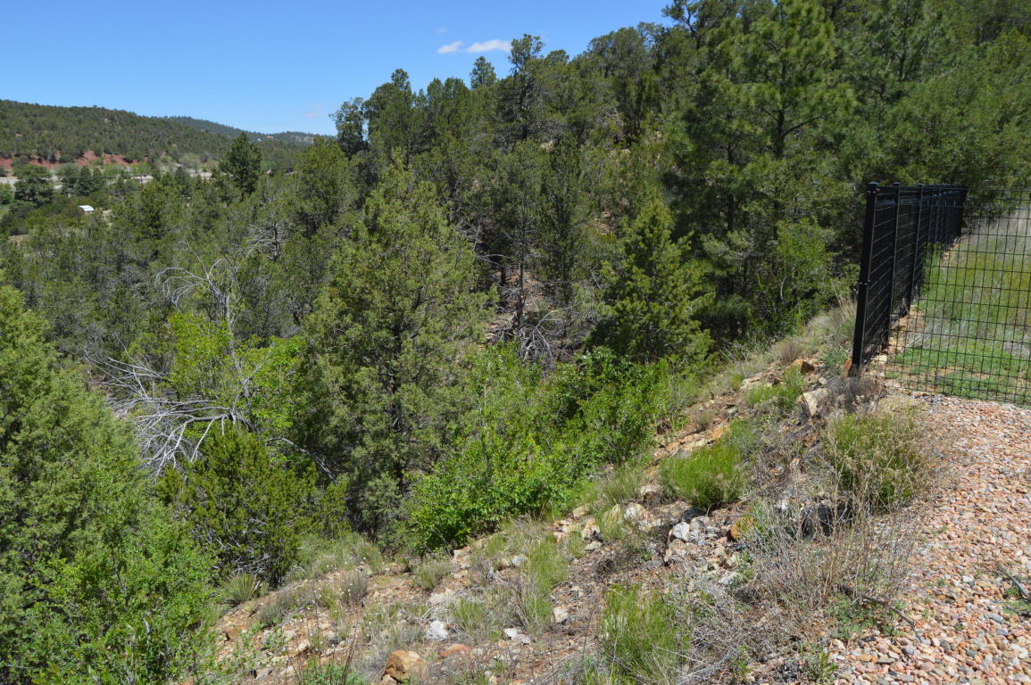 19 Sangre De Cristo, Cedar Crest, NM 87008
