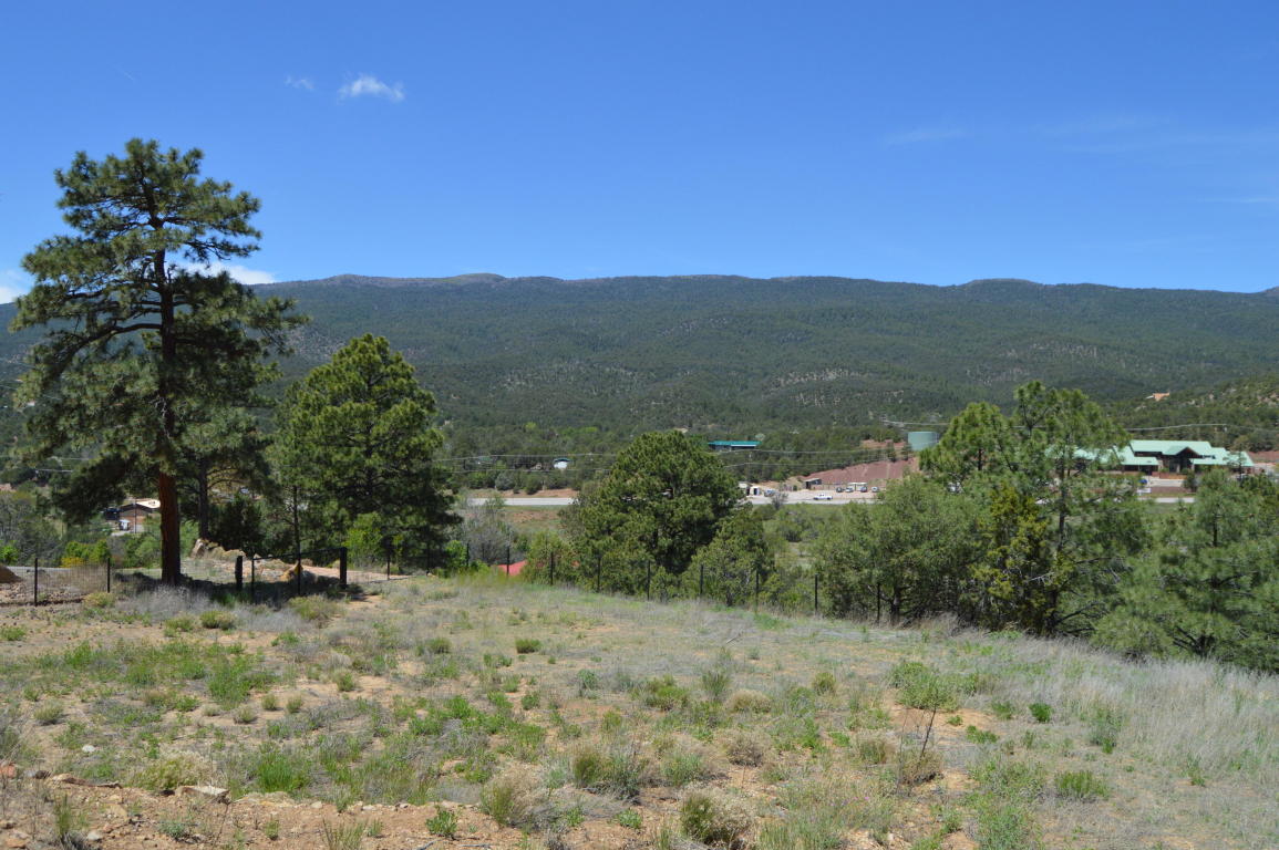 19 Sangre De Cristo, Cedar Crest, NM 87008