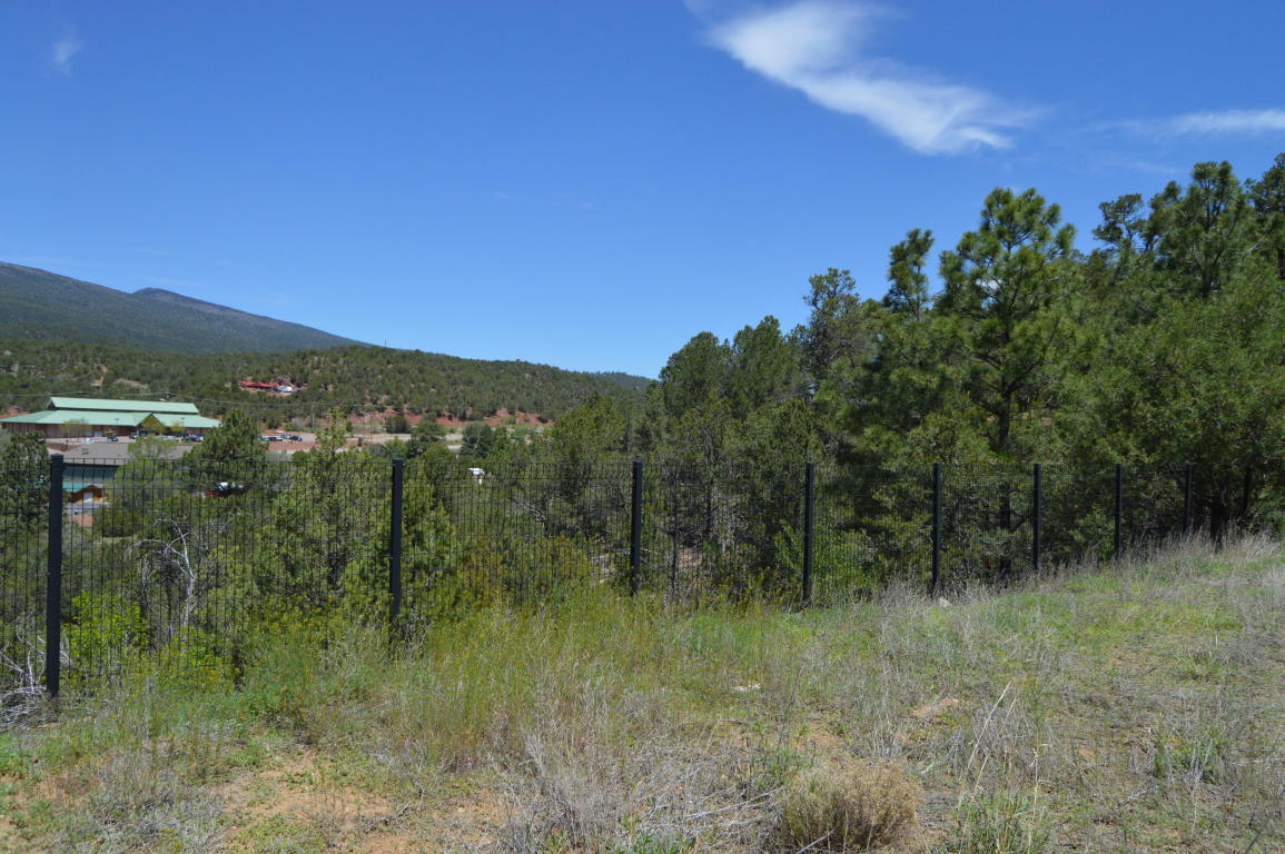 19 Sangre De Cristo, Cedar Crest, NM 87008