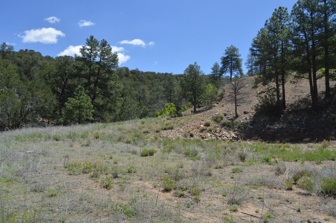 19 Sangre De Cristo, Cedar Crest, NM 87008