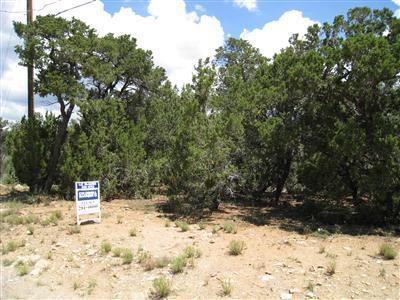 3 Sierra Vista Drive, Cedar Crest, NM 87008