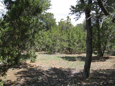 3 Sierra Vista Drive, Cedar Crest, NM 87008