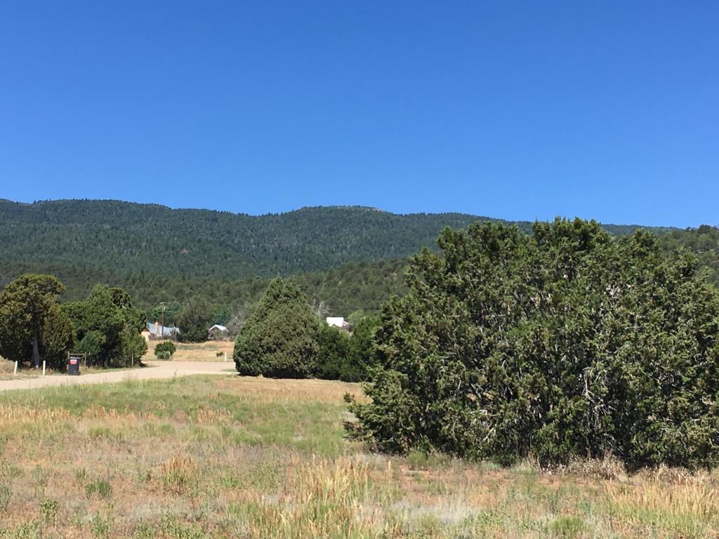 6 Francisco Road NE, Cedar Crest, NM 87008
