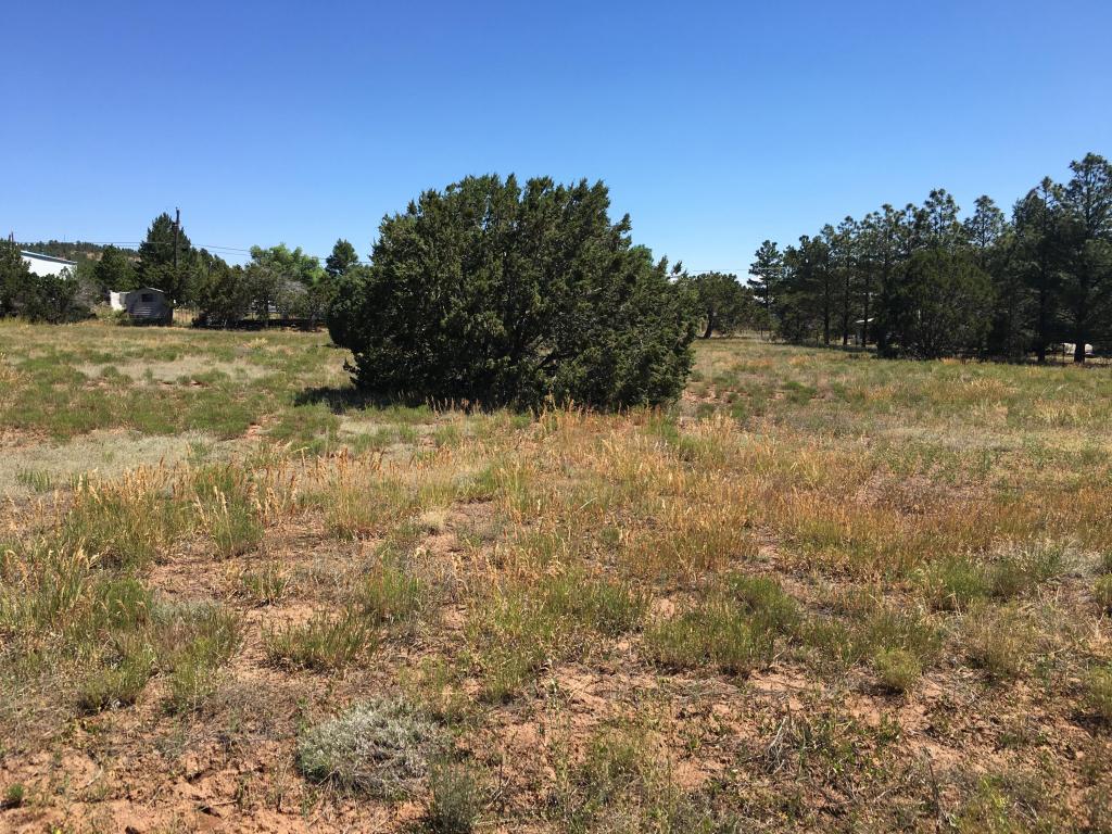 6 Francisco Road NE, Cedar Crest, NM 87008
