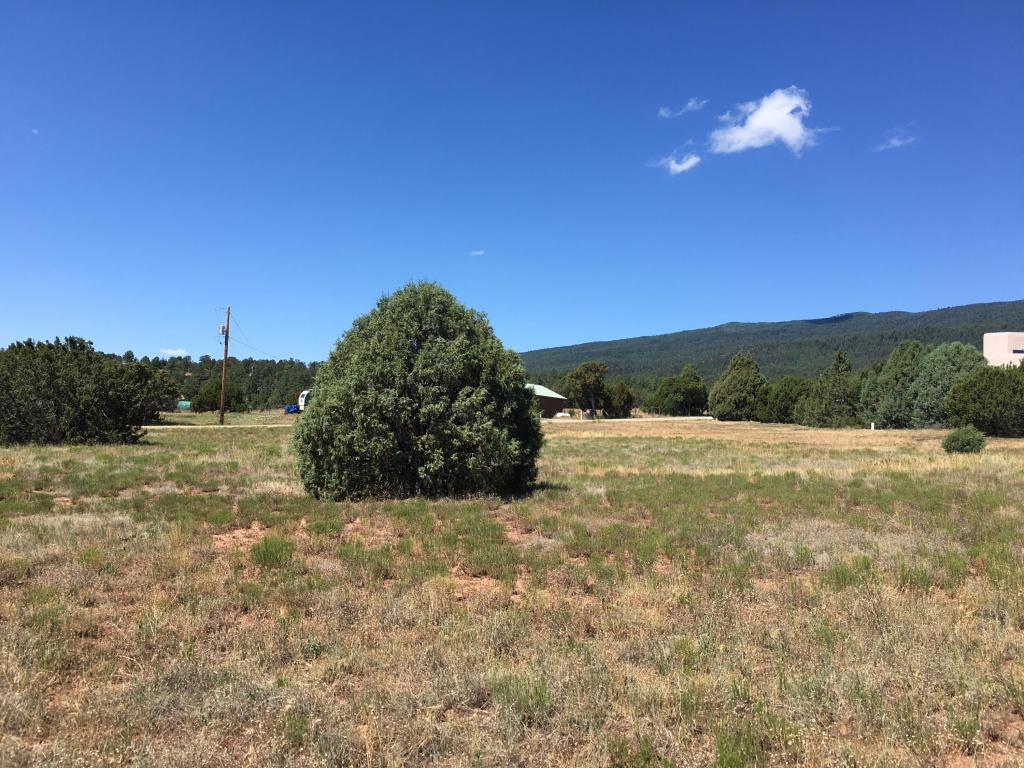 6 Francisco Road NE, Cedar Crest, NM 87008