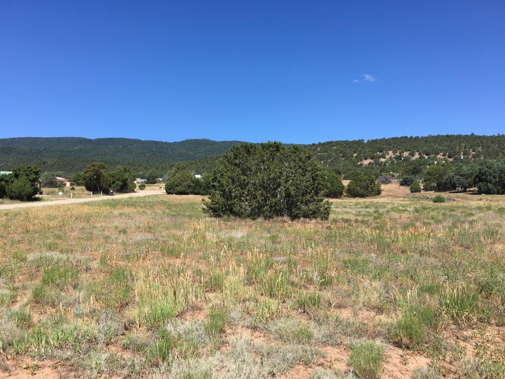 6 Francisco Road NE, Cedar Crest, NM 87008