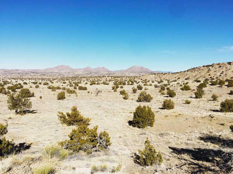 Old Windmill Trail, Cerrillos, NM 87010