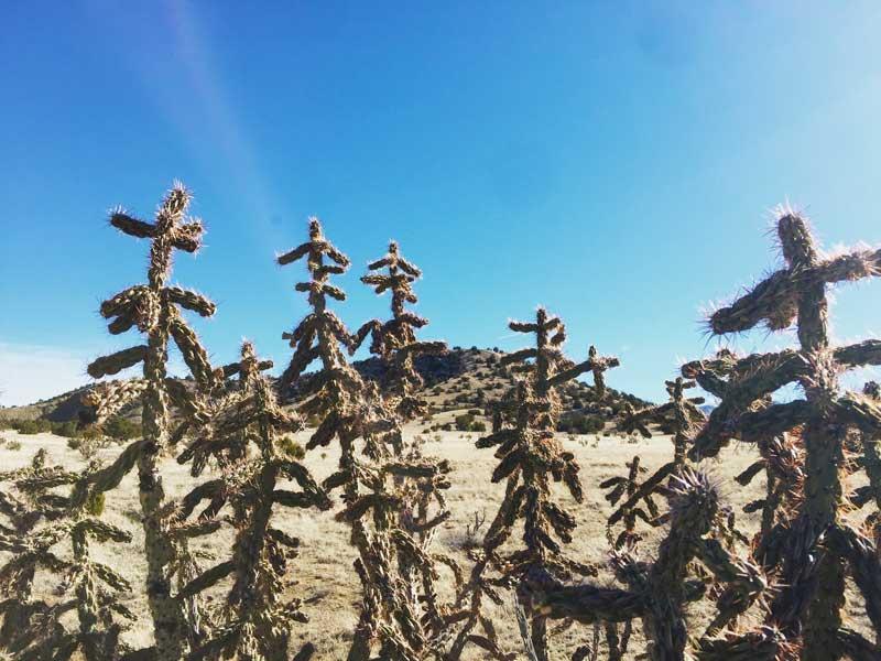 Old Windmill Trail, Cerrillos, NM 87010