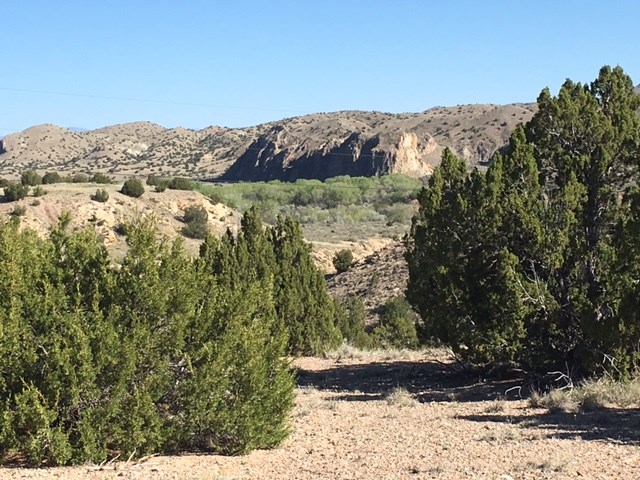 24 Goldmine Road, Cerrillos, NM 87010