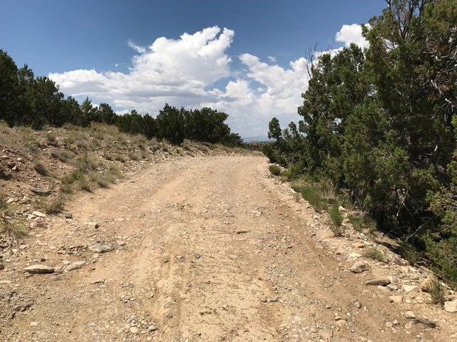 3A Cerrillos / Hwy 14, Cerrillos, NM 87010