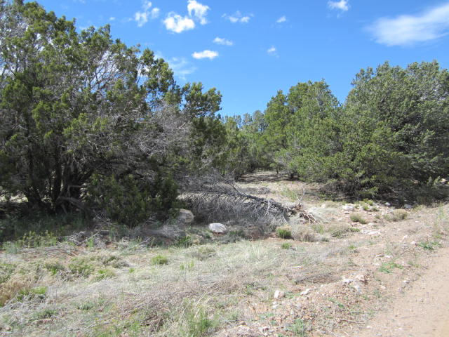 Val Verde Loop, Edgewood, NM 87015
