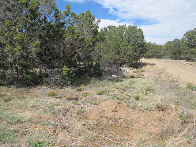 Val Verde Loop, Edgewood, NM 87015