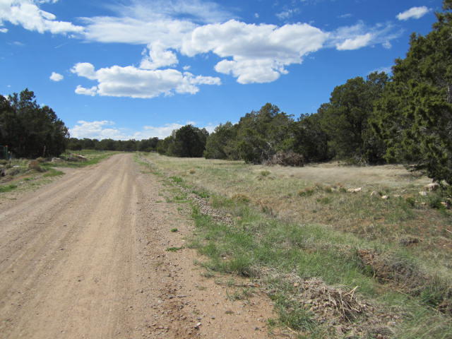 Val Verde Loop, Edgewood, NM 87015