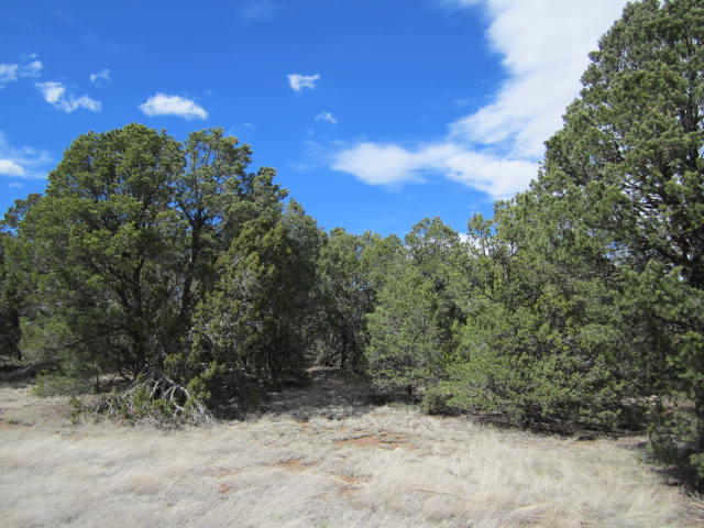 Val Verde Loop, Edgewood, NM 87015