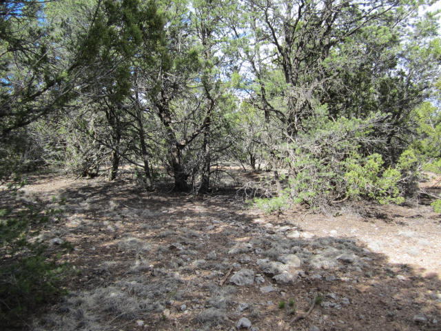 Val Verde Loop, Edgewood, NM 87015