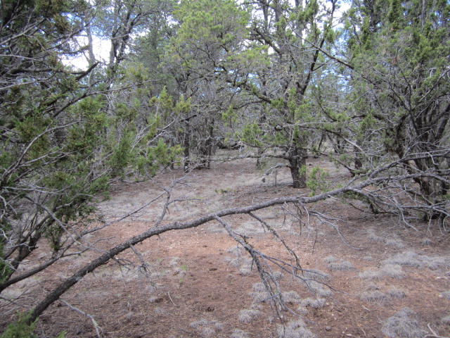 Val Verde Loop, Edgewood, NM 87015
