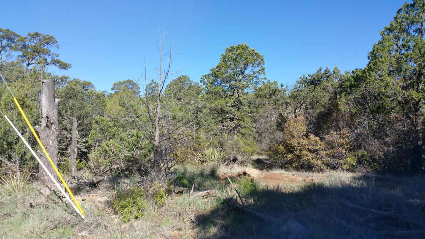 41 Mcdonald Road, Edgewood, NM 87015