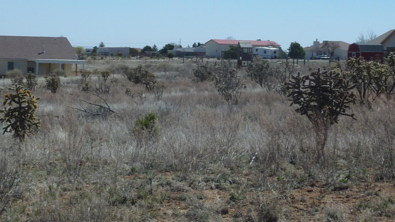 10 Benjamin Trail, Edgewood, NM 87015