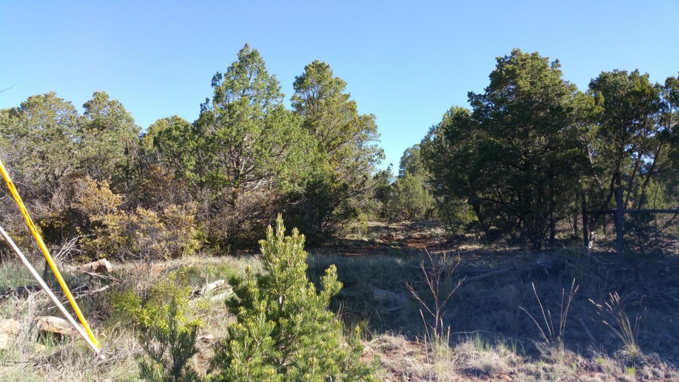 39 Mcdonald Road, Edgewood, NM 87015