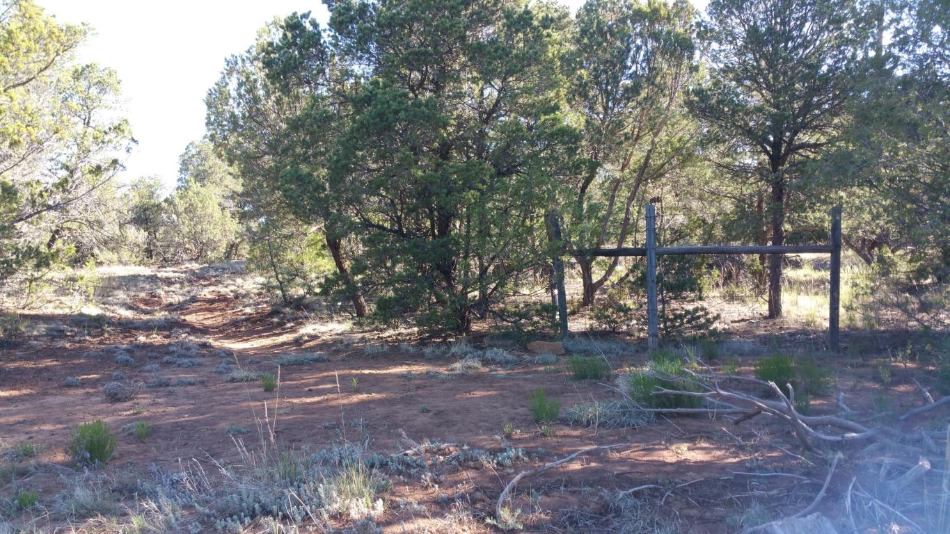 39 Mcdonald Road, Edgewood, NM 87015