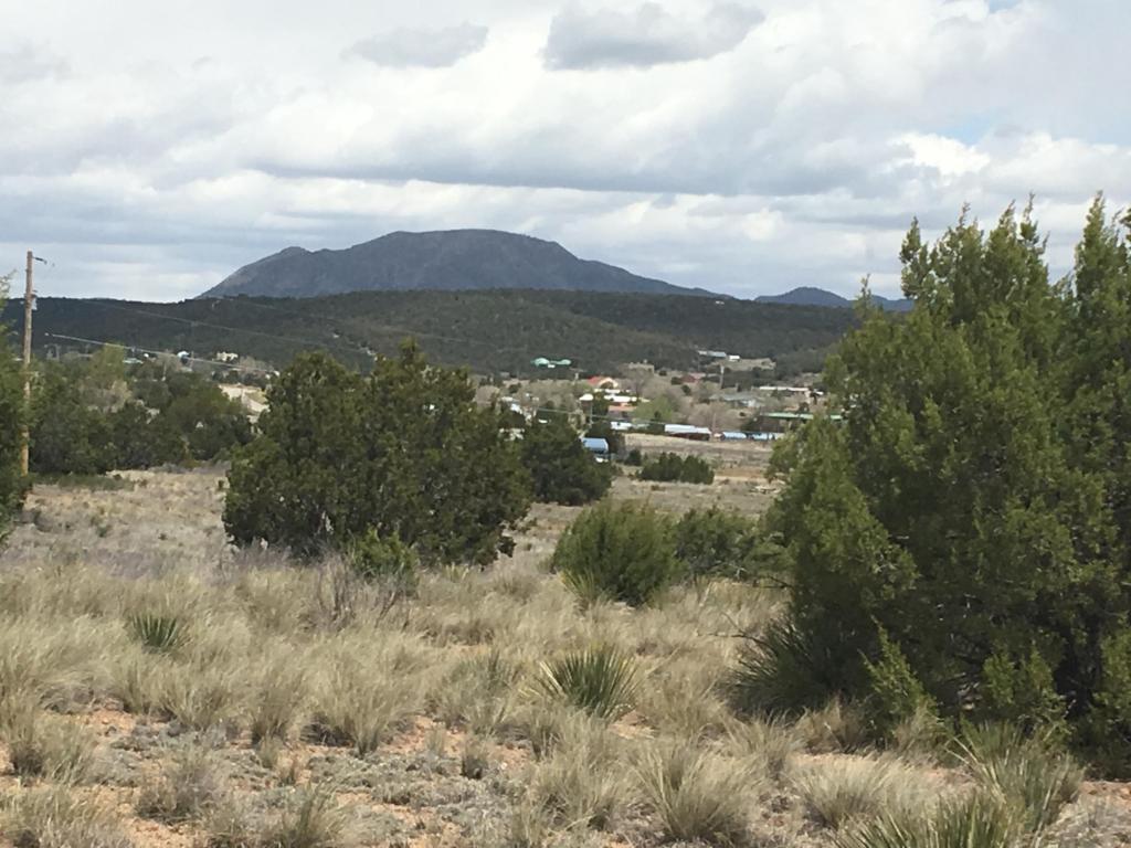 Dinkle/Countyline, Edgewood, NM 87015