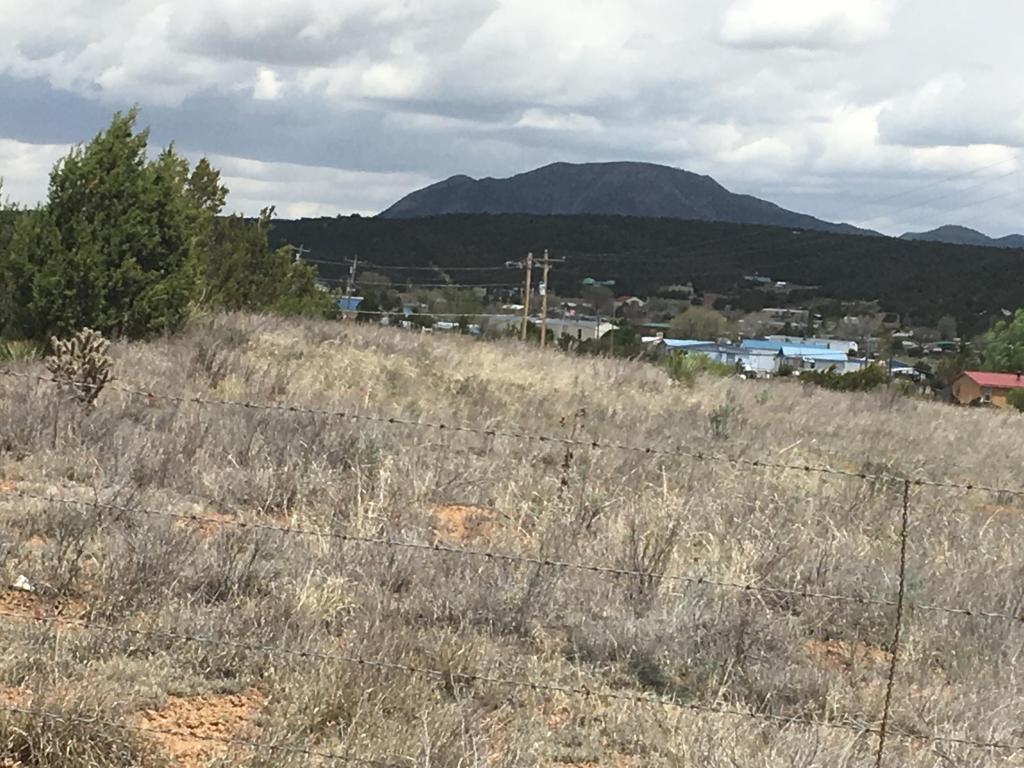 Dinkle/Countyline, Edgewood, NM 87015