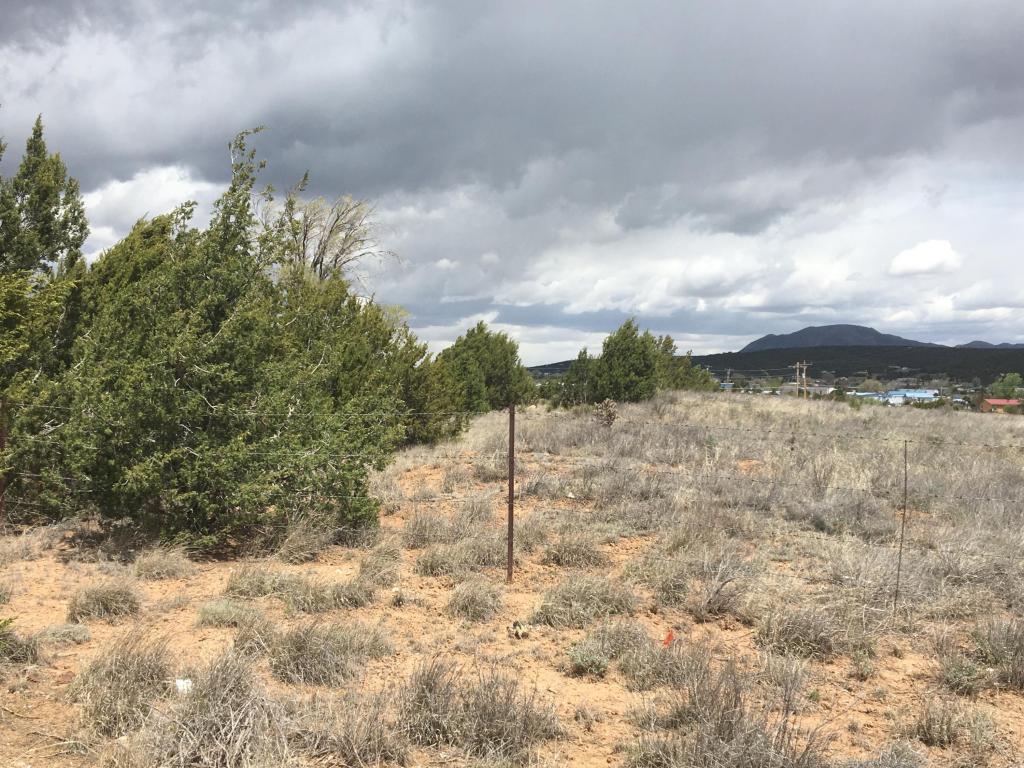 Dinkle/Countyline, Edgewood, NM 87015