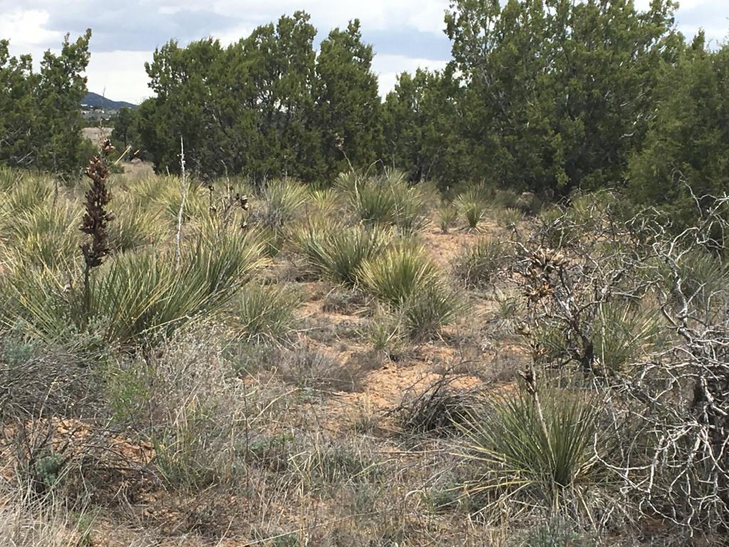 Dinkle/Countyline, Edgewood, NM 87015