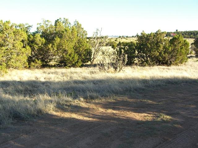 0 High Vista Ct,, Edgewood, NM 87015