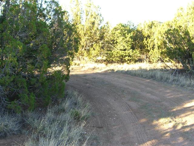 0 High Vista Ct,, Edgewood, NM 87015