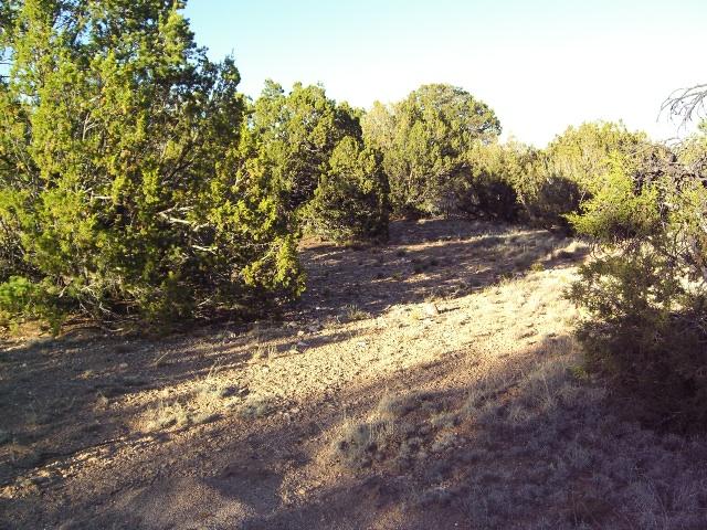 0 High Vista Ct,, Edgewood, NM 87015