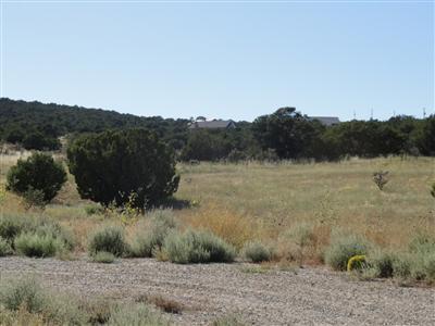 73 Joe Mae Road, Edgewood, NM 87015