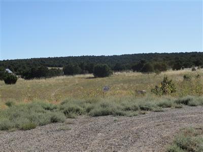 73 Joe Mae Road, Edgewood, NM 87015