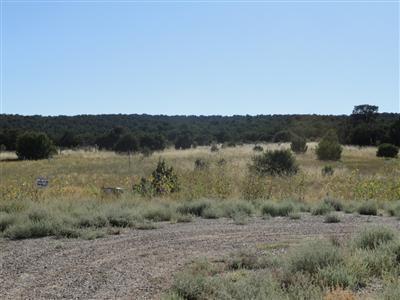 73 Joe Mae Road, Edgewood, NM 87015