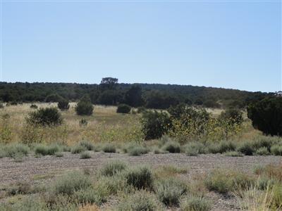 73 Joe Mae Road, Edgewood, NM 87015