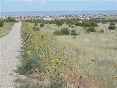 73 Joe Mae Road, Edgewood, NM 87015