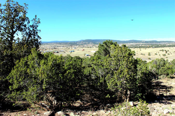 County Line Road, Edgewood, NM 87015