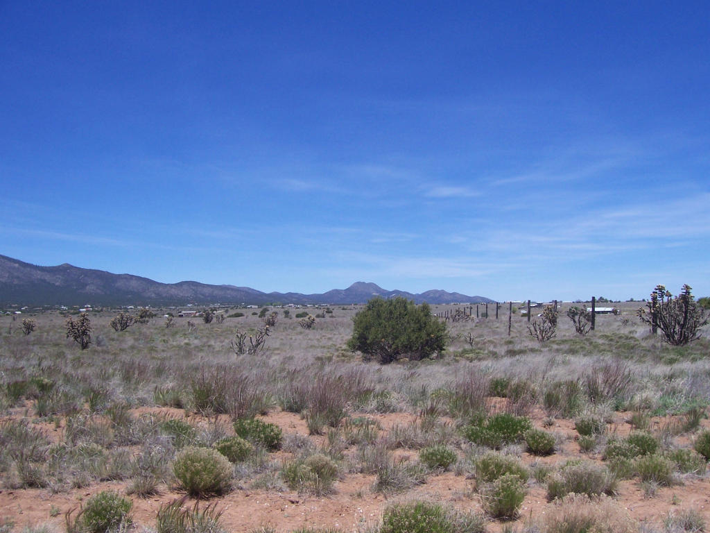 NWeimer Road, Edgewood, NM 87015
