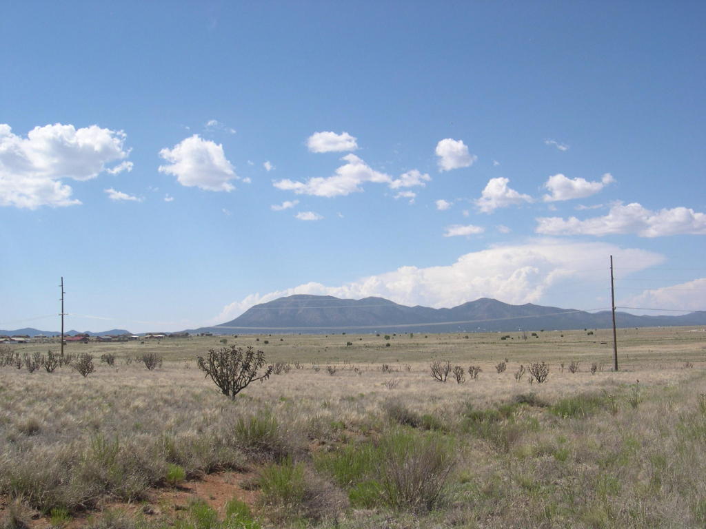 2,5 &amp; 6 Jazmin Court, Edgewood, NM 87015